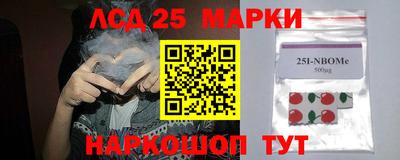 мдпв Будённовск