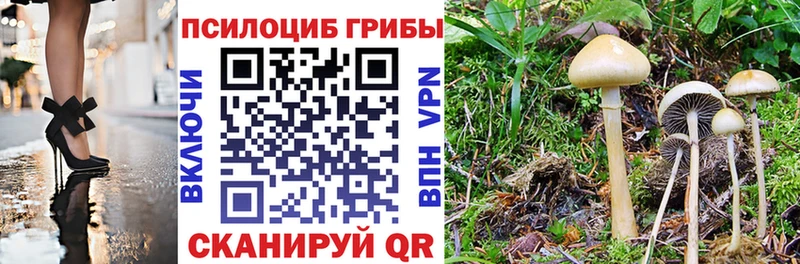 Псилоцибиновые грибы мицелий  кракен ССЫЛКА  Назрань 