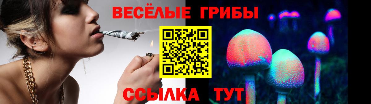 Назрань  Галлюциногенные грибы Psilocybe  Вход с VPN 